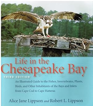 Life in the Chesapeake Bay (SIGNED)