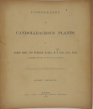 Iconography of Candolleaceous Plants (First Decade)