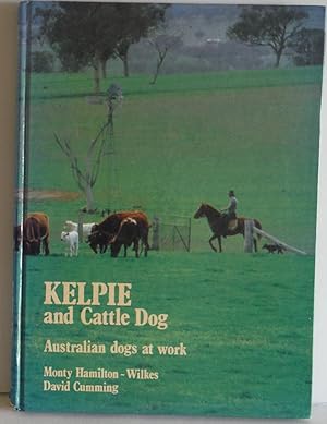 Kelpie and Cattle Dog Australian dogs at work