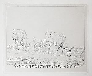 [Etching on chine collé/ets op chine-collé] Two cows and two sheep/Twee koeien en twee schapen.