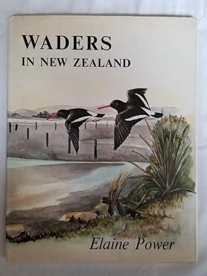 Waders in New Zealand