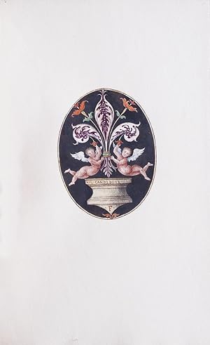 Lettres ornées du 16ème siècle [spine title].