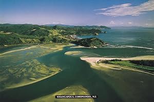 Whangapoua Coromandel Peninsula New Zealand Postcard
