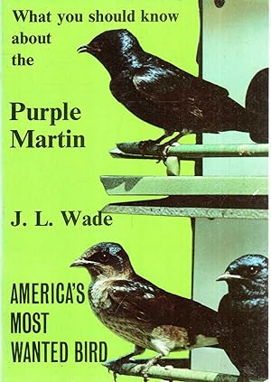 What You Should Know About the Purple Martin, America's Most Wanted Bird