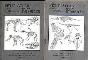 Petit Atlas des fossiles - 3 tomes : 1. Primaires et triasiques / 2. Jurassiques et crétaciques /...