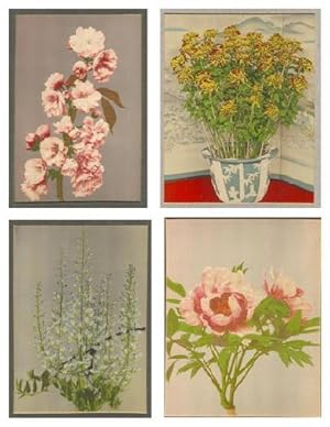Flower Collotypes, Color, By K. Ogawa (4 Different)