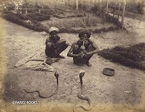 Albumen Print of Snake Charmers in Ceylon (Sri Lanka)