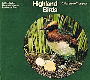 Highland Birds :
