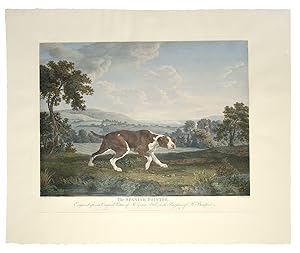The Spanish Pointer, Engraved after an Original Picture of Mr. George Stubbs, in the Possession o...