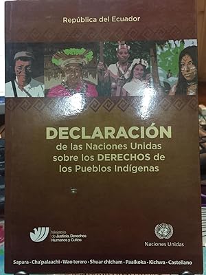 Declaración de las Naciones Unidas sobre los DERECHOS de los Pueblos Indígenas. Traducción a siet...
