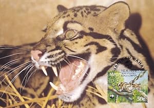 Clouded Leopard Malaysia WWF Stamp First Day Cover Postcard