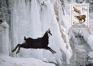 Chamois Deer Albenia WWF Stamp First Day Cover Postcard