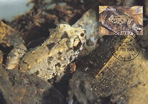 Seychelles Frog WWF Stamp First Day Cover Postcard