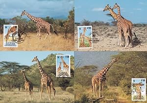 Reticulated Giraffe 4x WWF Stamp First Day Cover Postcard s