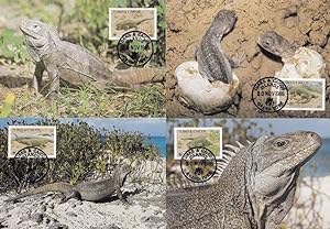 Turks & Caicos Rock Iguana Reptile 4x WWF Stamp FDC Postcard s