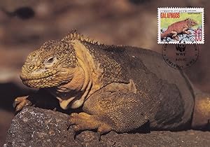 Land Iguana Galapagos WWF Stamp First Day Cover Postcard