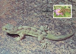 Lord Howe Norfolk Island Gecko Rare WWF Stamp First Day Cover Postcard