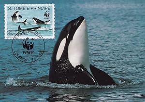 Eyesight Orcinus Orca Killer Whale WWF Sealife Stamp Rare FDC Postcard
