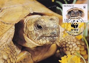 Grumpy Hermanns Tortoise in France Monaco WWF Stamp FDC Postcard