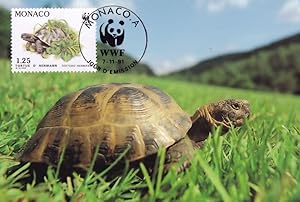 Hermanns Tortoise in French Grass Monaco WWF Stamp FDC Postcard