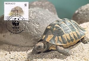 Hermanns Tortoise in French Rocks Monaco WWF Stamp FDC Postcard