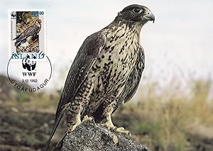 Iceland Gyrfalcon Rare WWF Stamp First Day Cover Postcard