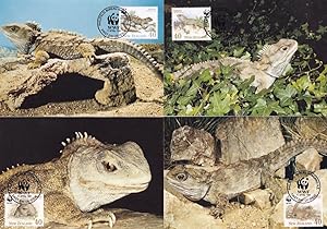 Tuatara New Zealand Reptile WWF Lizard FDC Stamp 4x Postcard s
