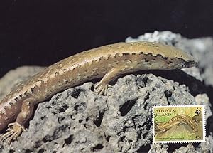 Lord Howe Norfolk Island Skink WWF Stamp First Day Cover Postcard