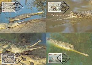 Palau Crocodile WWF Stamp First Day Cover 4x Postcard