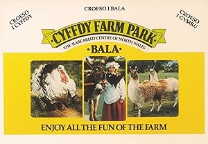 Cyffdy Farm Park Bala Welsh Animal Zoo Farming Centre Postcard