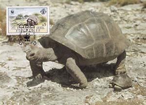 Aldabra Giant Tortoise Seychelles Stunning WWF Stamp First Day Cover Postcard