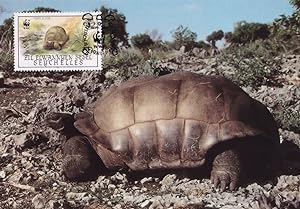 Aldabra Giant Tortoise Seychelles WWF Stamp First Day Cover Postcard