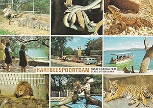 Hartbeespoortdam South African Snake Wildlife Park Zoo Postcard