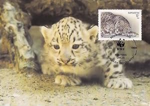 Snow Leopard Panthera Uncia WWF Rare Stamp FDC Postcard