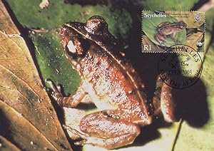 Thomasettet's Frog Seychelles WWF Stamp First Day Cover Postcard