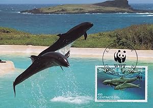 False Killer Whale Pseudorca WWF Rare FDC Stamp Postcard
