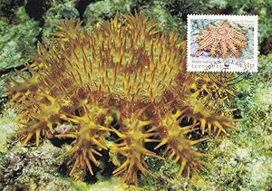 Crown Of Thorns Dornenkrone Indian Starfish WWF Stamp FDC Postcard