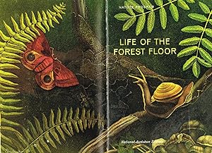 Life On The Forest Floor : National Audubon Society :