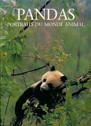 Pandas, portraits du monde animal - Jill Caravan