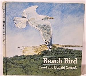Beach Bird