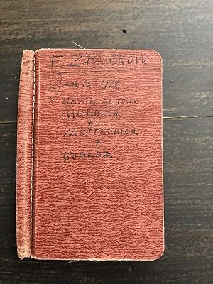 1919 Diary of American Soldier from the 56th Infantry, Ezra Skow, Stationed in Occupied Germany f...