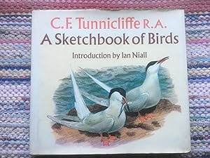 A Sketchbook Of Birds