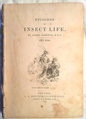 Episodes of insect Life