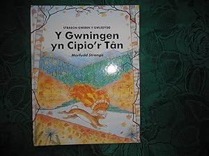 Straeon Gwerin y Gwledydd: Y Gwningen yn Cipio'r Tan. (" How Rabbit Stole the Fire: A North Ameri...