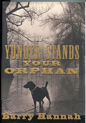 Yonder Stands your Orphan