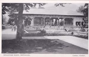 Shalimar Bagh Srinagar Lambert Kashmir Indian Postcard