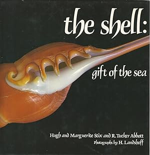 The shell:gift of the sea