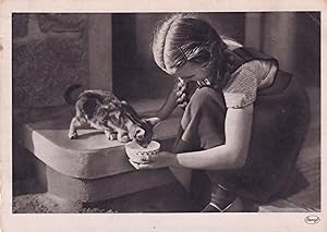 Child Feeding A Kitten Baby Cat Vintage Postcard