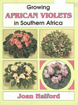 Growing African Volets in Southern Africa