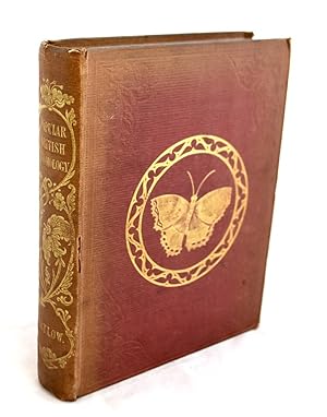 Popular British Entomology; containing a familiar and technical description of the insects most c...